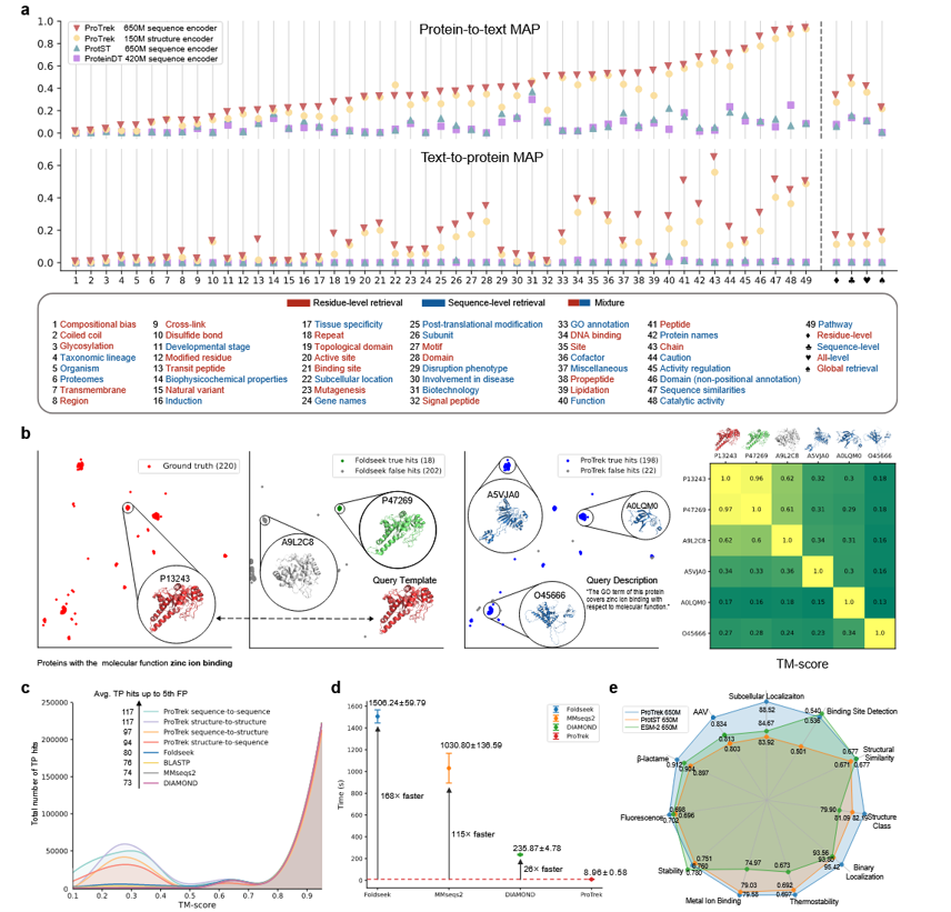Fig. 2: ProTrek performance on protein search and representation tasks. a, Top chart: Search protein functional descriptions using sequences/structures. Bottom chart: Search protein sequences/structures using textual descriptions. x-axis: Specific protein function categories left of the dashed line; aggregated categories (residue-, protein-, all-level) right of it. “Global retrieval” indicates a search across the entire database, not within individual categories. The y-axis is MAP (mean average precision), a commonly used ranking metric for searching tasks. b, ProTrek employs “zinc ion binding” as the query term, while Foldseek utilizes P13243 as a query template, which is the protein with the most hits. In the testing set, 220 proteins share similar functional annotations with P13243. Foldseek identified 18 true hits, whereas ProTrek discovered 198 true hits. The TM-score results in the right subfigure reveal that proteins with similar functions can exhibit diverse structures. Conversely, proteins with similar structures (e.g., A9L2CB) may encode different functions. c, Searching proteins with similar functions using protein sequence/structure as input. TP (true-positive): Matches sharing ≥1 GO term. FP: Matches sharing no GO terms. d, Comparing alignment speed (CPU time) for 100 query proteins on UniRef50 with 50 million candidate proteins, utilizing 24 CPU cores. e, Evaluating the protein representation ability of the ProTrek AA sequence encoder.