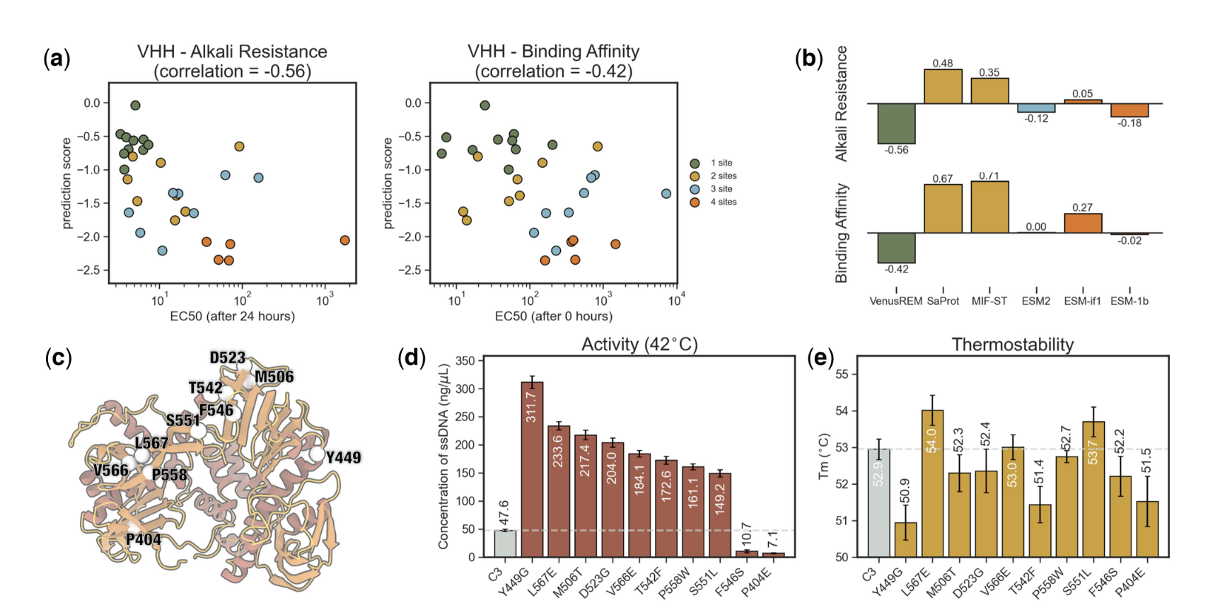 Figure 3. Performance analysis on low-throughput experimental datasets. (a) Scatter plot of predicted fitness scores (by VENUSREM) versus experimentally obtained EC50 values. For both alkali resistance and binding affinity improvements, VENUSREM’s scoring of 31 VHH antibody mutants by 1–4 sites shows a clear correlation with experimental data. (b) Performance of different models on the two assays of VHH antibody data. Only VENUSREM successfully generated fitness scores that are moderately negatively correlated with EC50 values. (c) 3D structure of the template phi29 DNAP. The AA sites targeted for mutation across the 10 single-site mutants are highlighted and labeled with their wild-type residues. (d) Activity improvements in phi29 DNAP mutants. Among the 10 single-site mutants experimentally tested, 8 shows significant activity enhancements, with the top mutant exhibiting an eight-fold increase. (e) Thermostability of phi29 DNAP mutants. Three mutants demonstrate improvements in both thermostability and activity, with two of them showing significant gains.